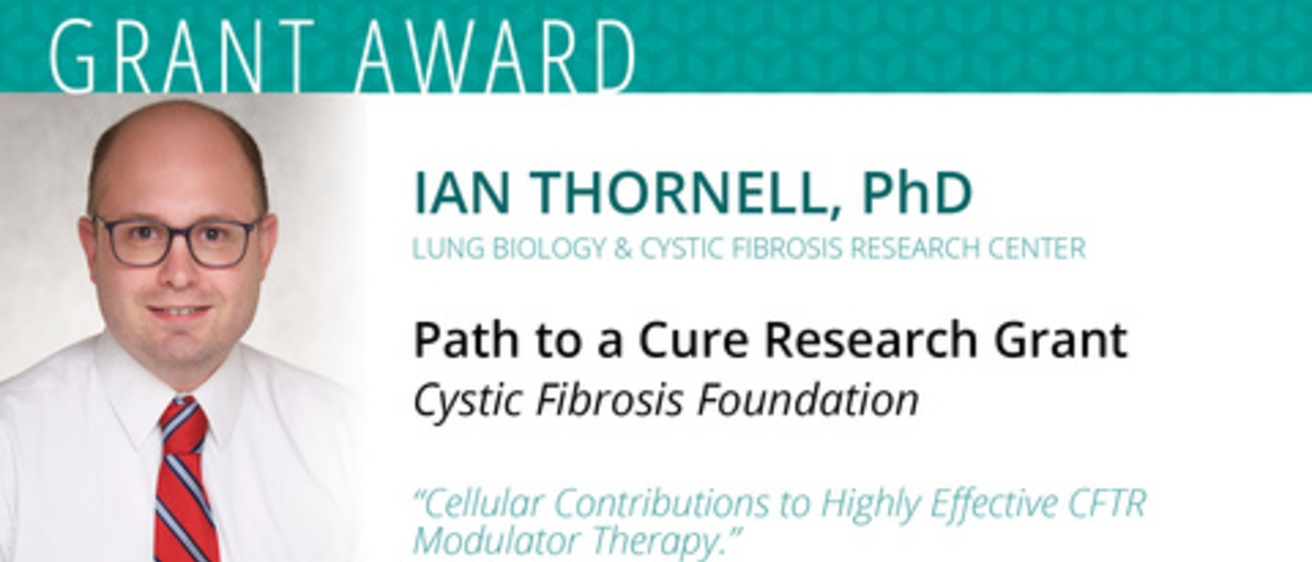 IMT CFF Grant 2024