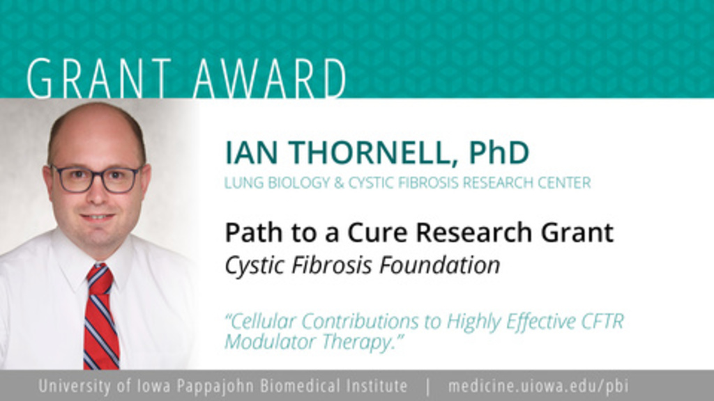 IMT CFF Grant 2024